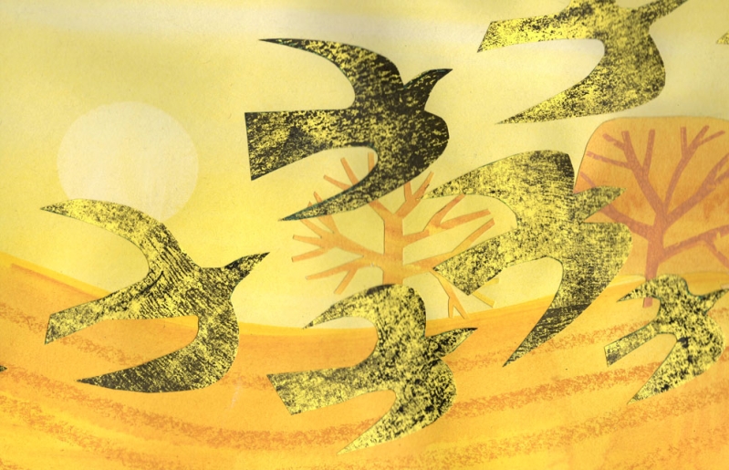 golden field flock