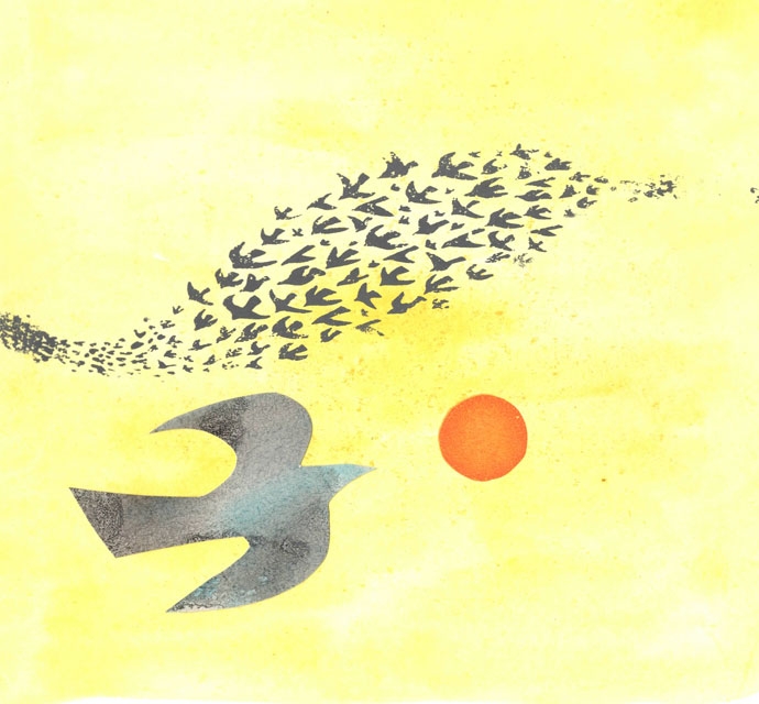 solo bird1