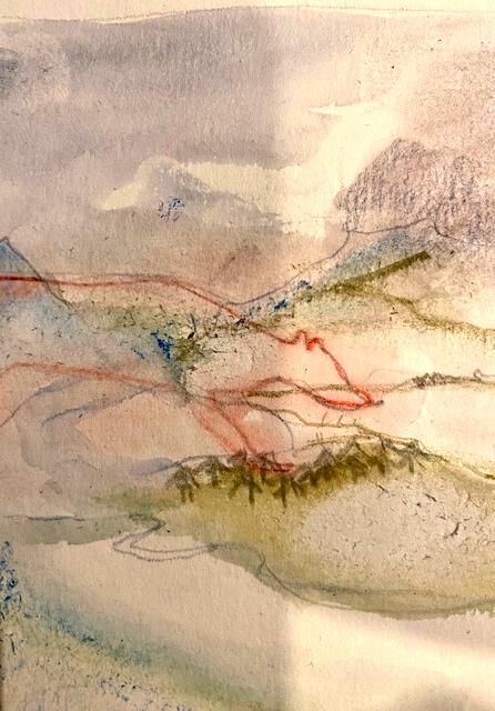 IMG 0501