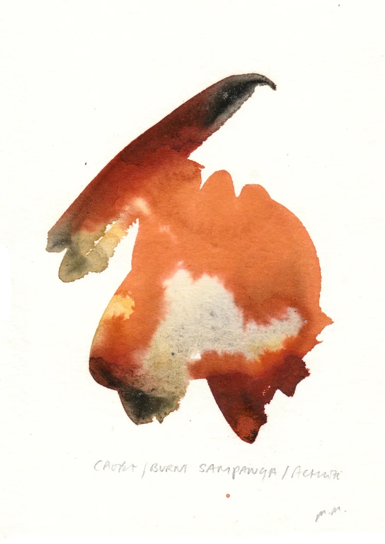 PIGMENT EOG3