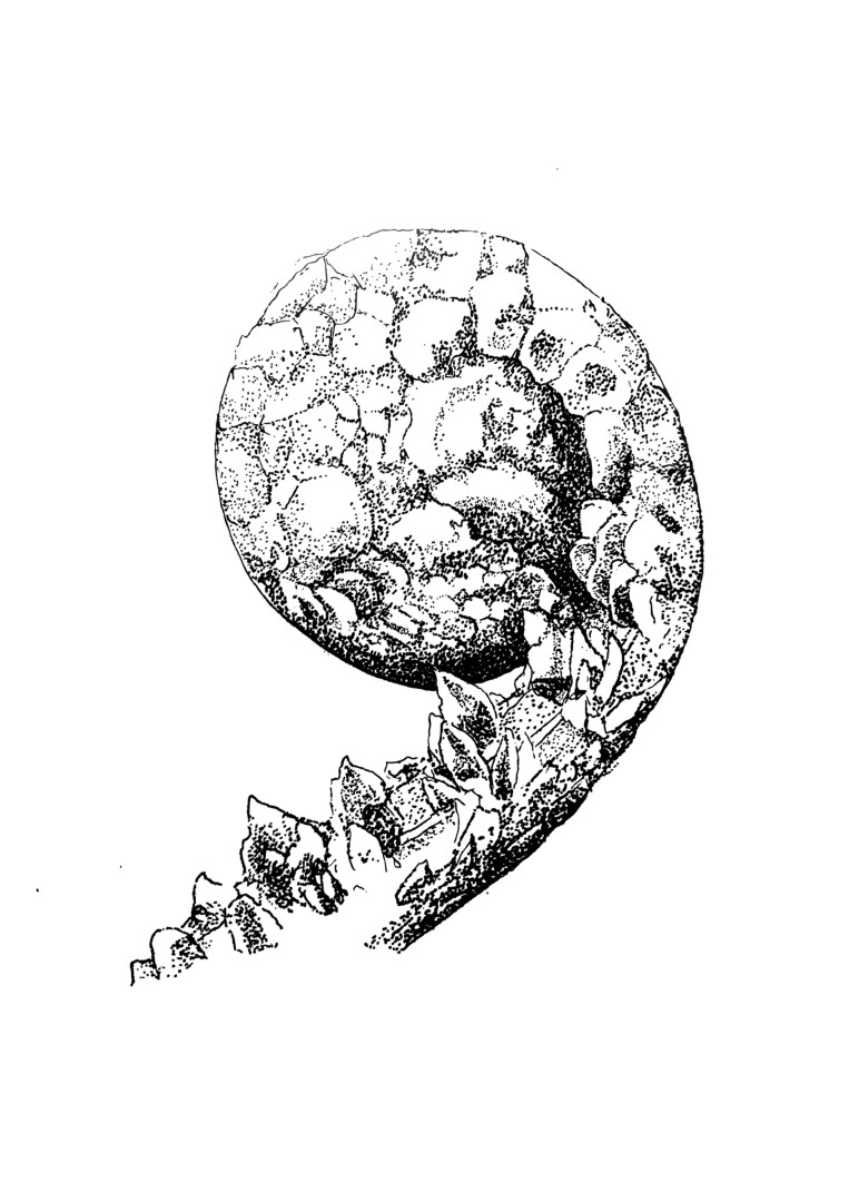 SanoSano
