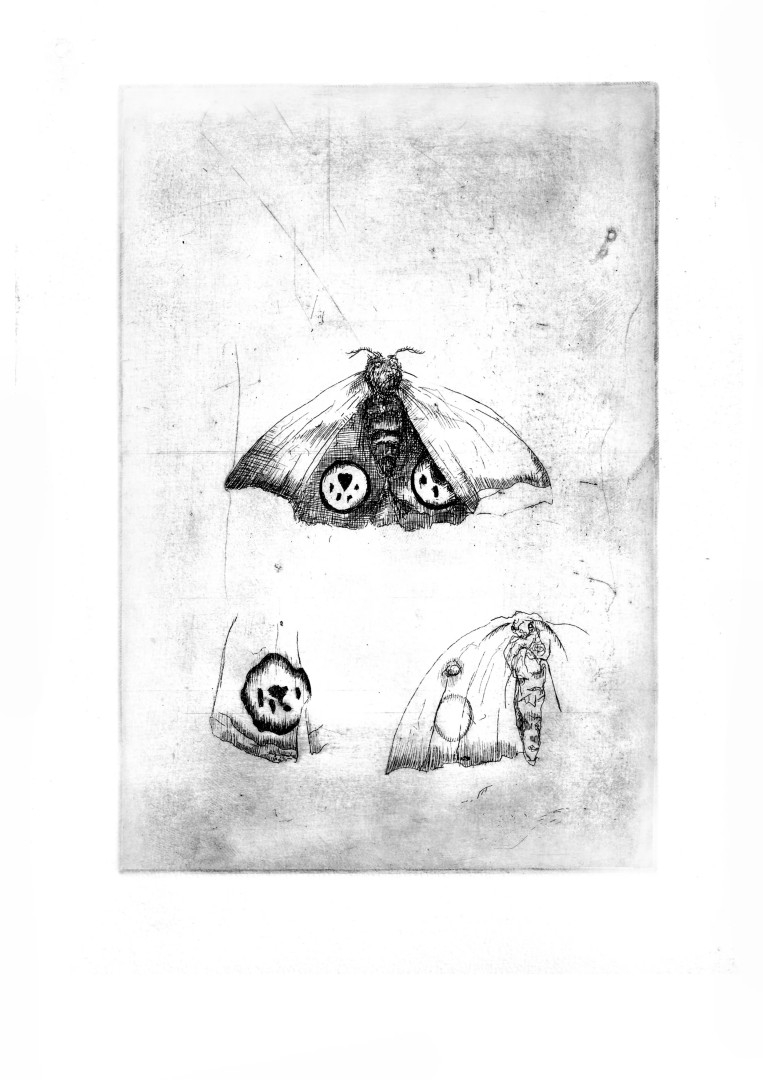 trackmoth